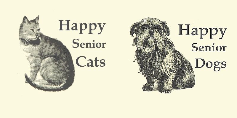 INFOS HAPPY SENIOR CATS & DOGS